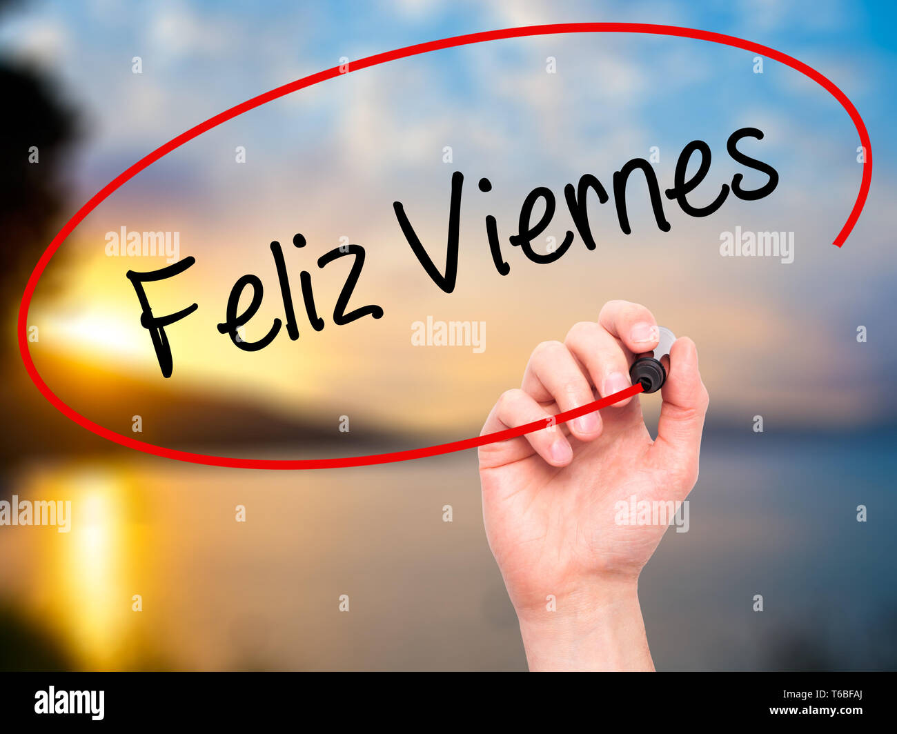 Hilo para dar los buenos días - Página 20 Escritura-a-mano-hombre-feliz-viernes-feliz-viernes-en-espanol-con-marcador-negro-en-la-pantalla-visual-t6bfaj