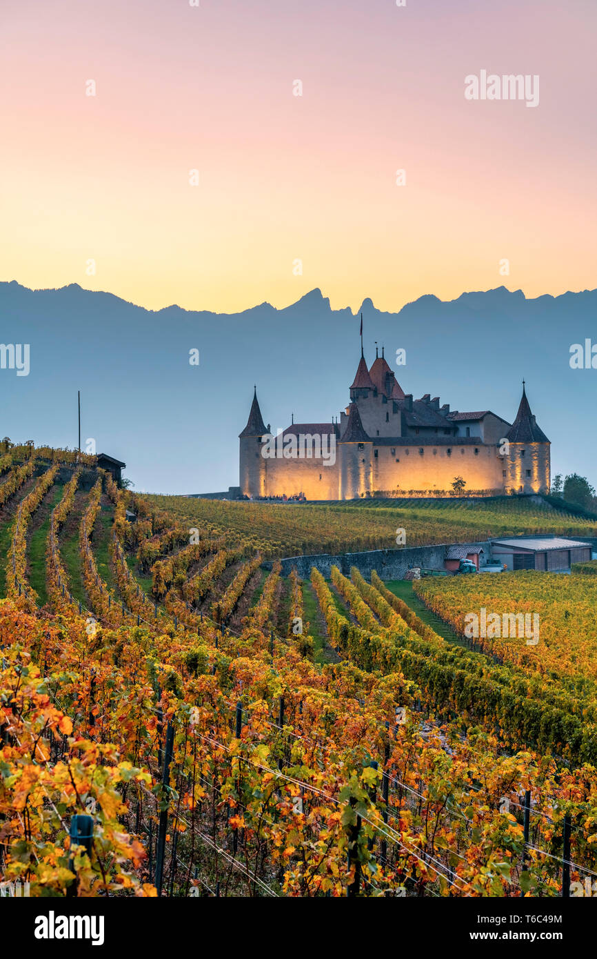 El castillo de Aigle, Aigle, cantón de Vaud, Suiza, Europa Foto de stock