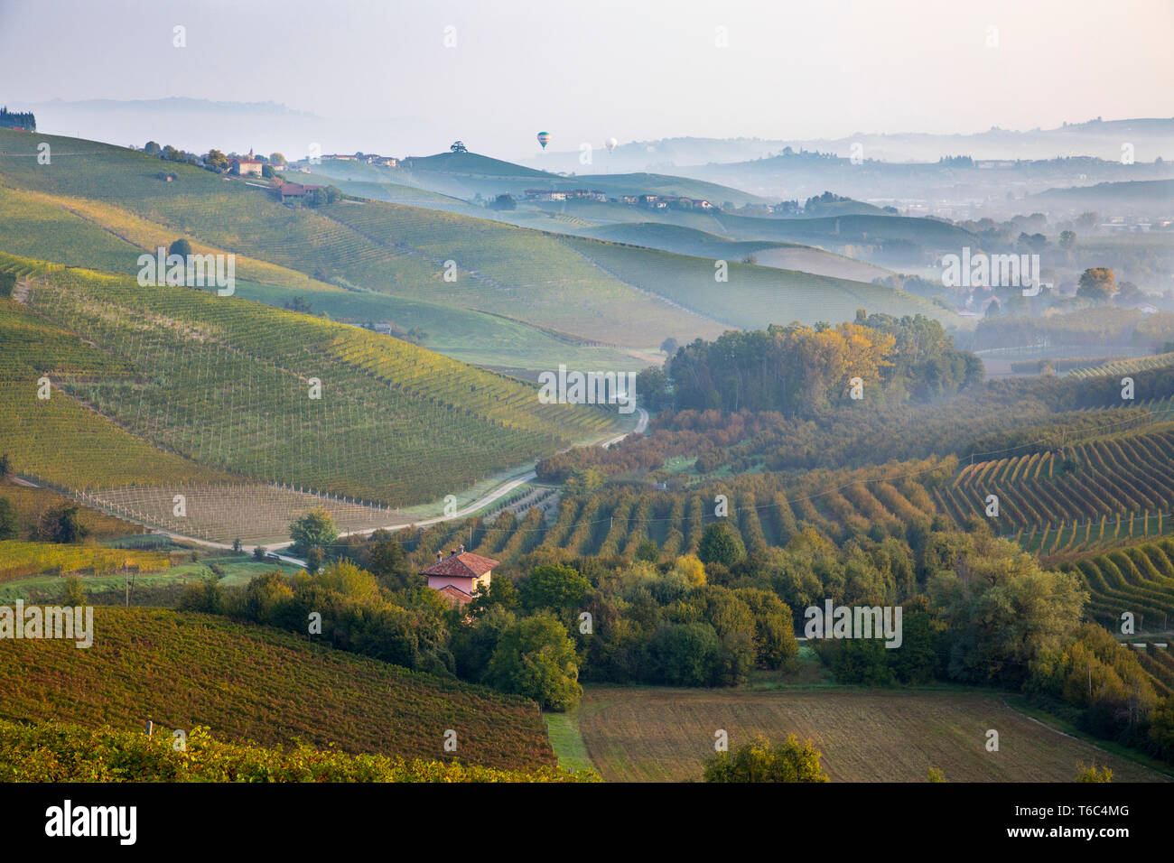 Italia, Piamonte (Piemonte), Distrito de Cuneo, Langhe, globos aerostáticos volando sobre valle al amanecer. Foto de stock