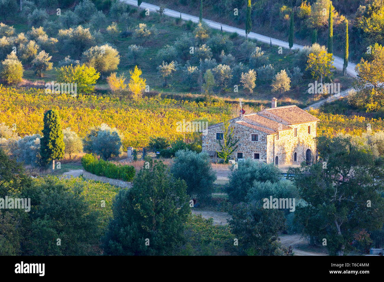 Italia, Toscana, provincia Siena y Montalcino, granja de piedra rodeado por viñas en otoño Foto de stock