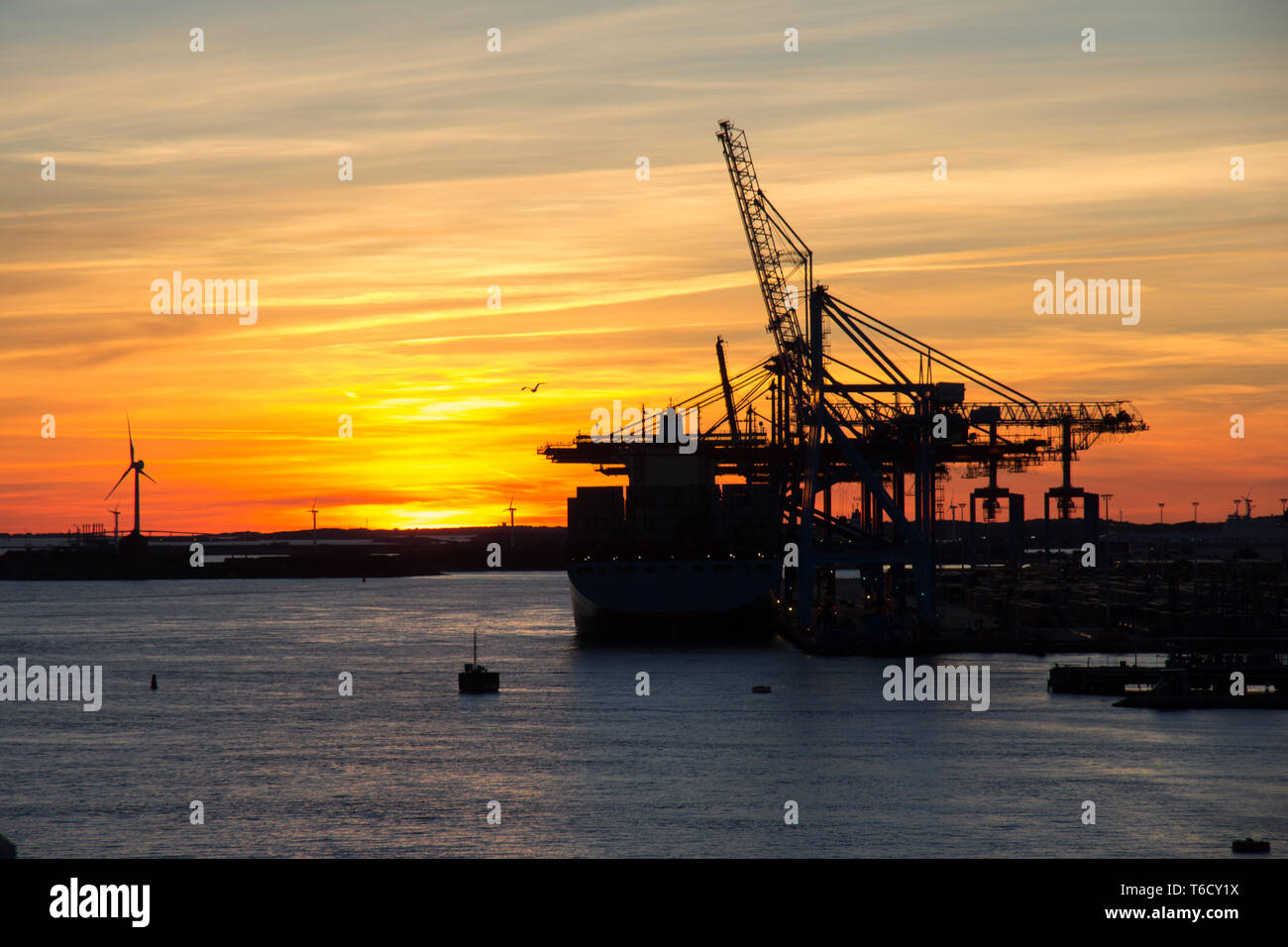 Kran Krähne bei Sonnenuntergang im Hafen von Schweden Gotemburgo atardecer en el puerto de Gotemburgo con grúa Grúas Foto de stock