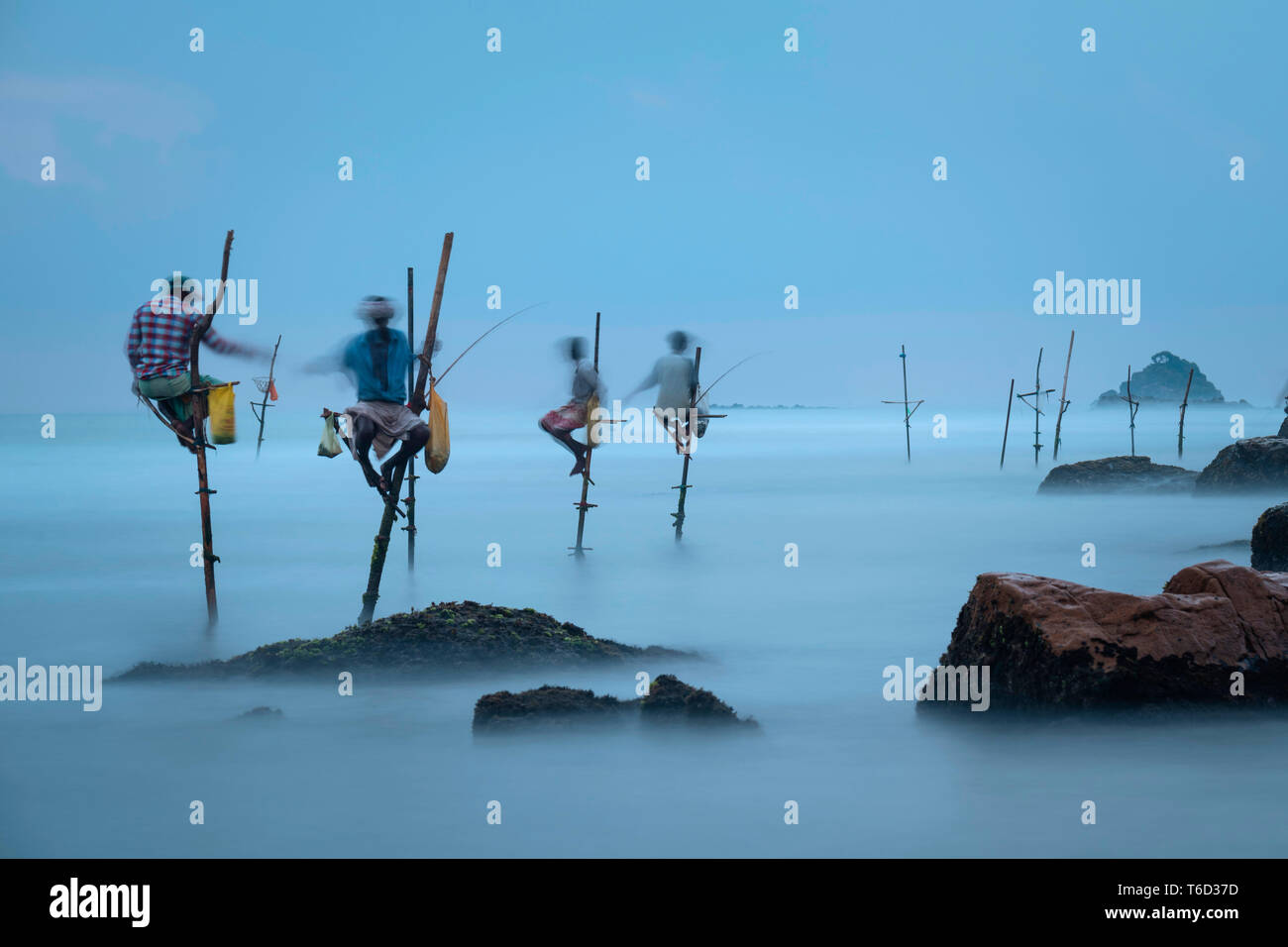 Al atardecer, los pescadores zancos Weligama, Sri Lanka, Costa Sur, Asia Foto de stock