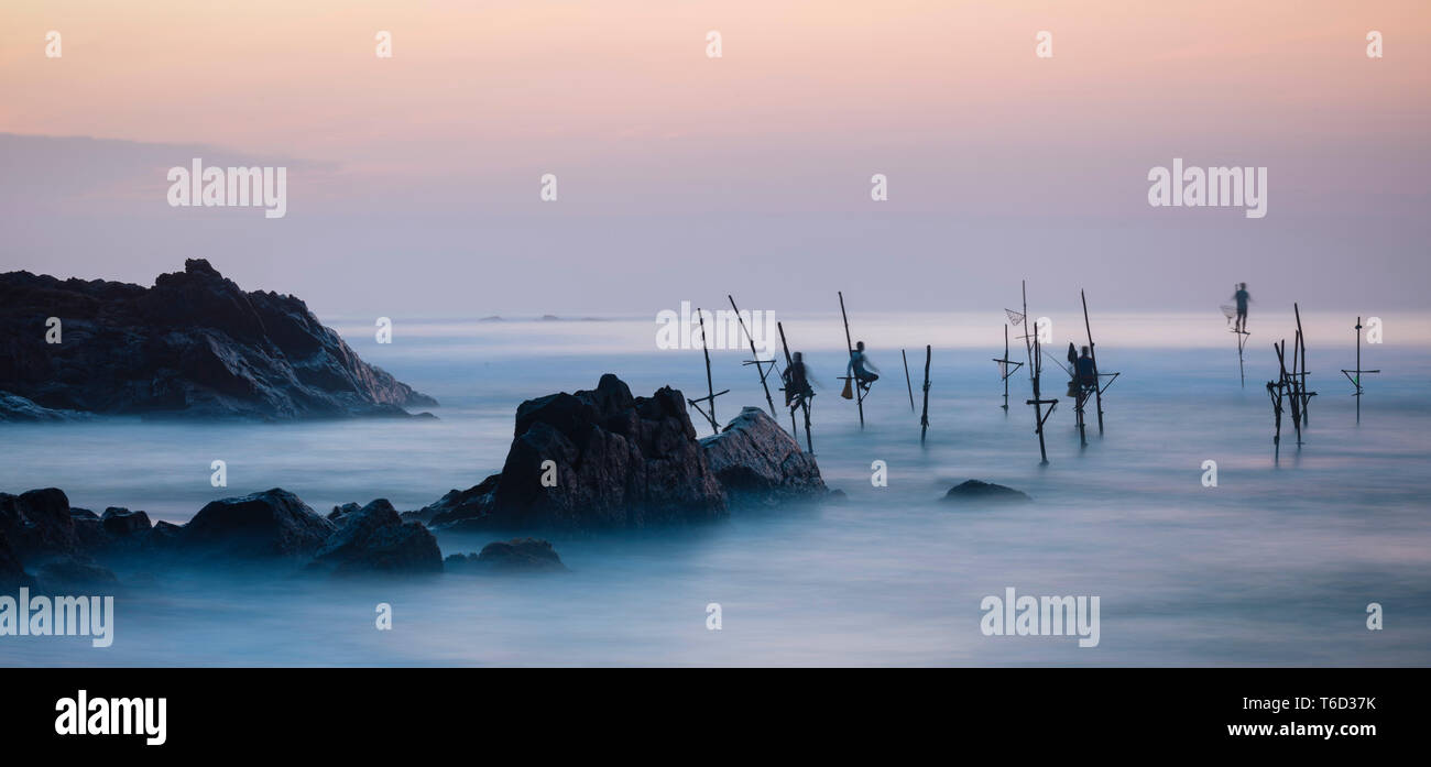 Al atardecer, los pescadores zancos Weligama, Sri Lanka, Costa Sur, Asia Foto de stock