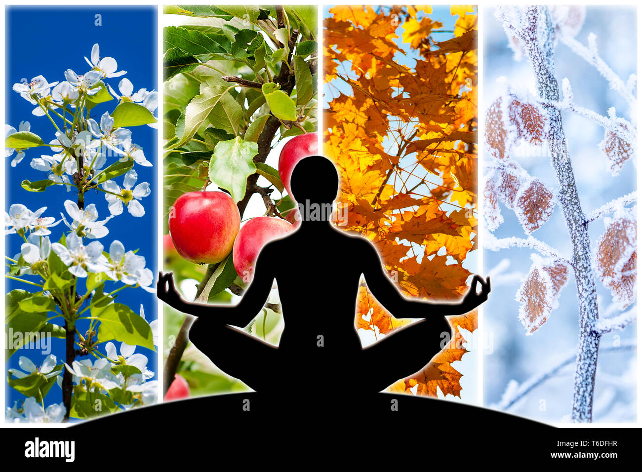 Yoga figura silueta femenina contra el collage de cuatro imágenes que representan cada Estación: primavera, verano, otoño e invierno. Foto de stock