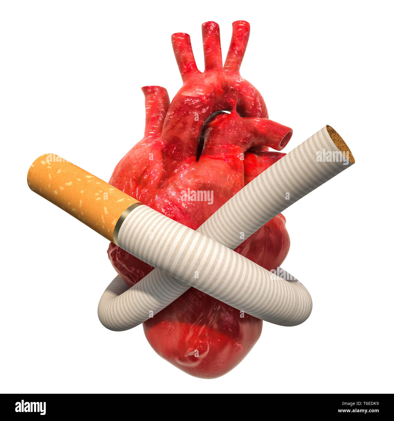 Enfermedad del corazón de fumar, concepto. Atado de cigarrillos en un nudo alrededor del corazón