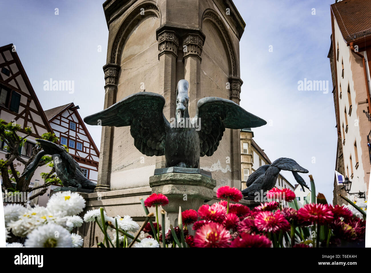 Terraza, jardín, figuras, flores, jardín figuras, Príncipe Rana, rana,  ganso, pato, sembradora, muchacho, Forget-me-not, estanque, en un estilo  kitsch, exterior, decoración, decoración de jardines Fotografía de stock -  Alamy