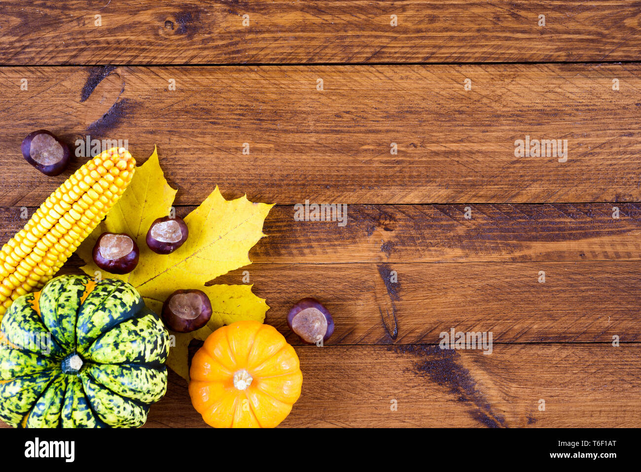 Decoración de otoño con calabaza y hojas Foto de stock