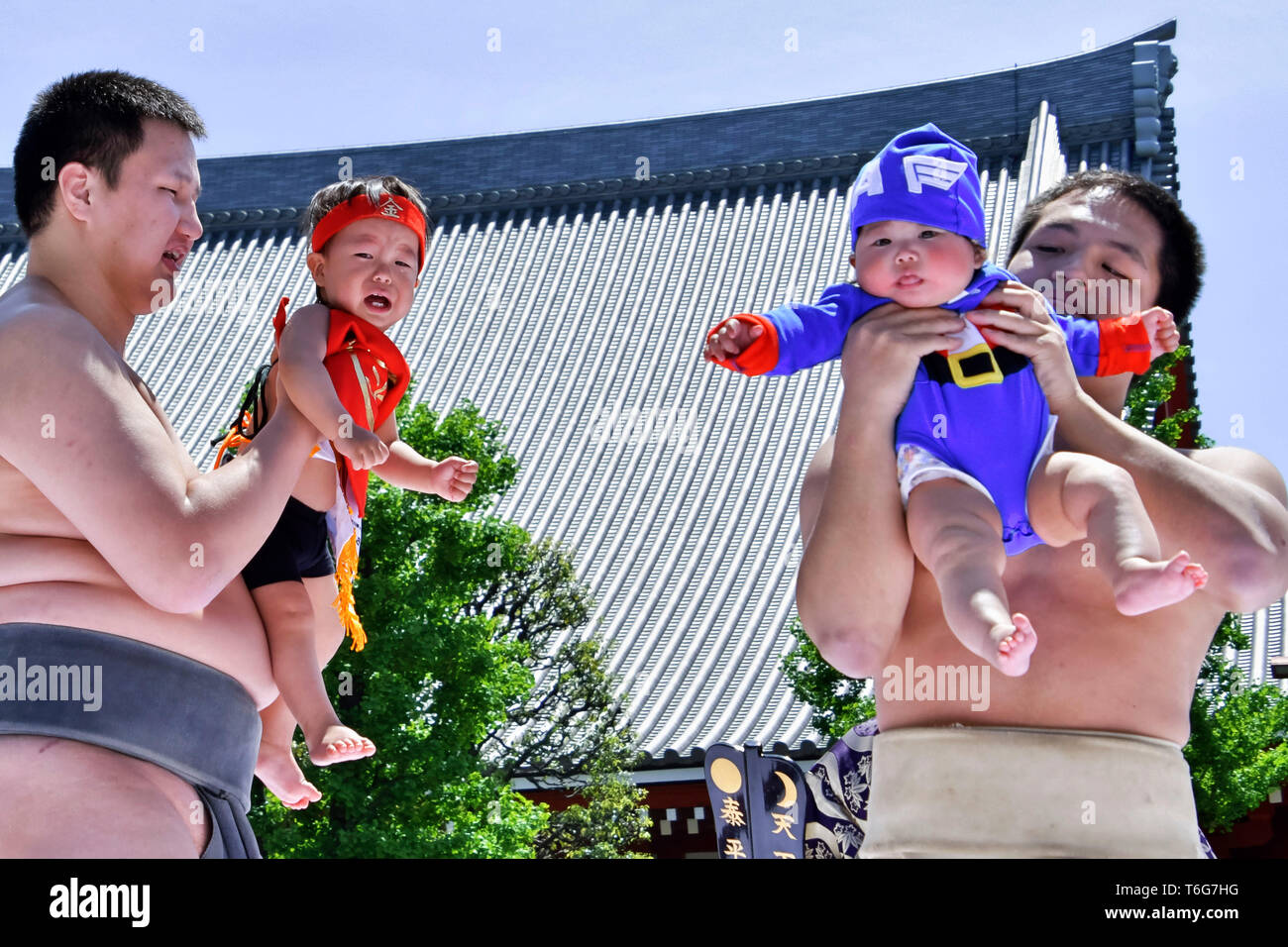 Bebes De Sumo Fotos E Imagenes De Stock Alamy Bebes De Sumo Fotos E Imagenes De Stock Alamy