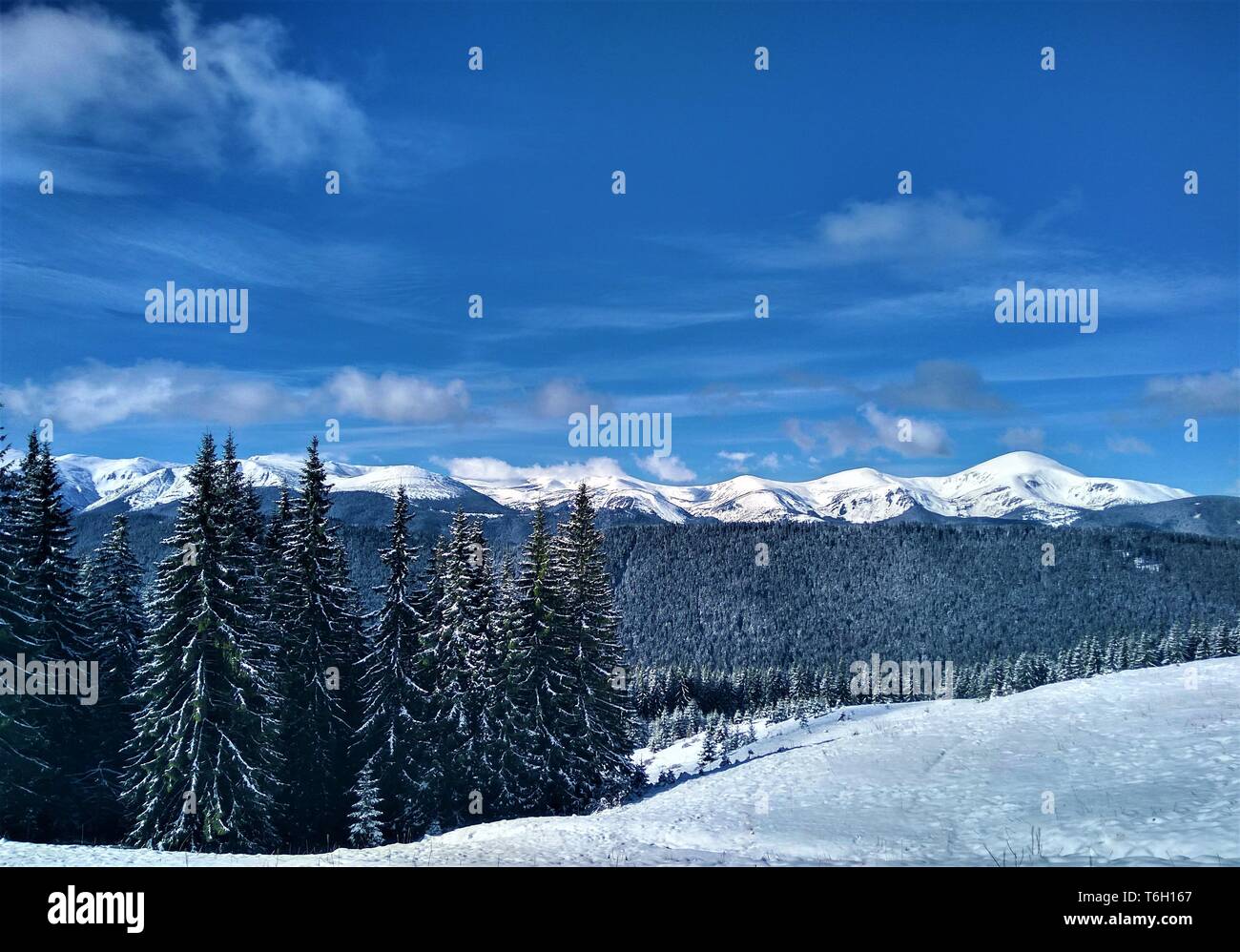 El invierno en las montañas. La temporada de esquí. Foto de stock