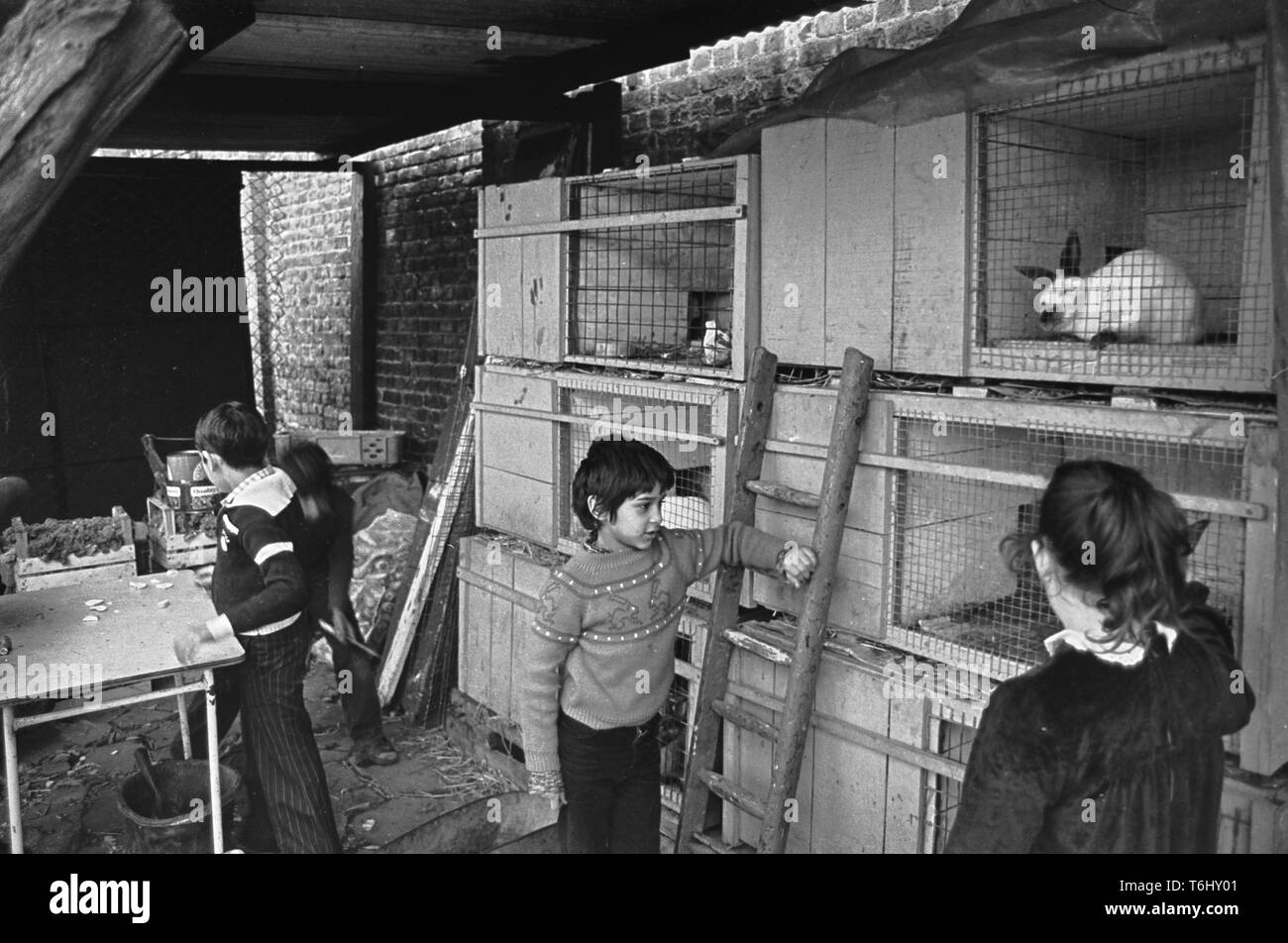 Spitalfields Ciudad Granja London E1, los niños cuidar para los conejos, 1978 Foto de stock
