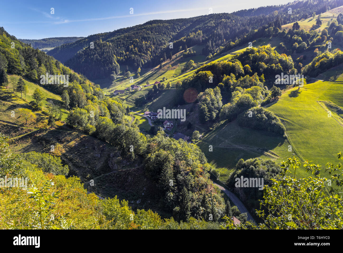Exuberantes prados verdes del valle Münstertal con muchos caseríos, dientes y granjas, Selva Negra, Alemania meridional, Münstertal/Schwarzwald Foto de stock