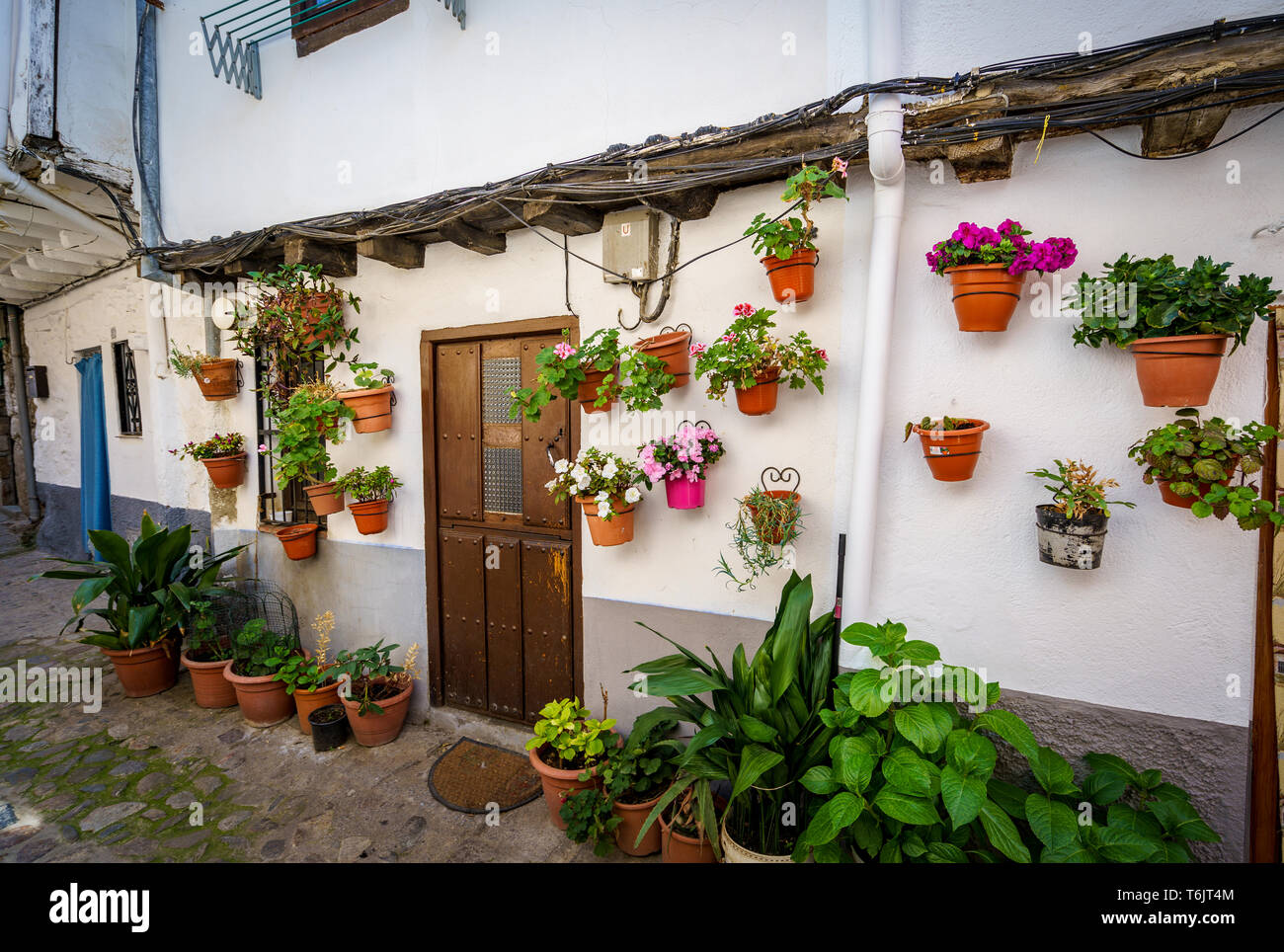 Calle llena de macetas en el suelo y en las paredes, en España Fotografía  de stock - Alamy