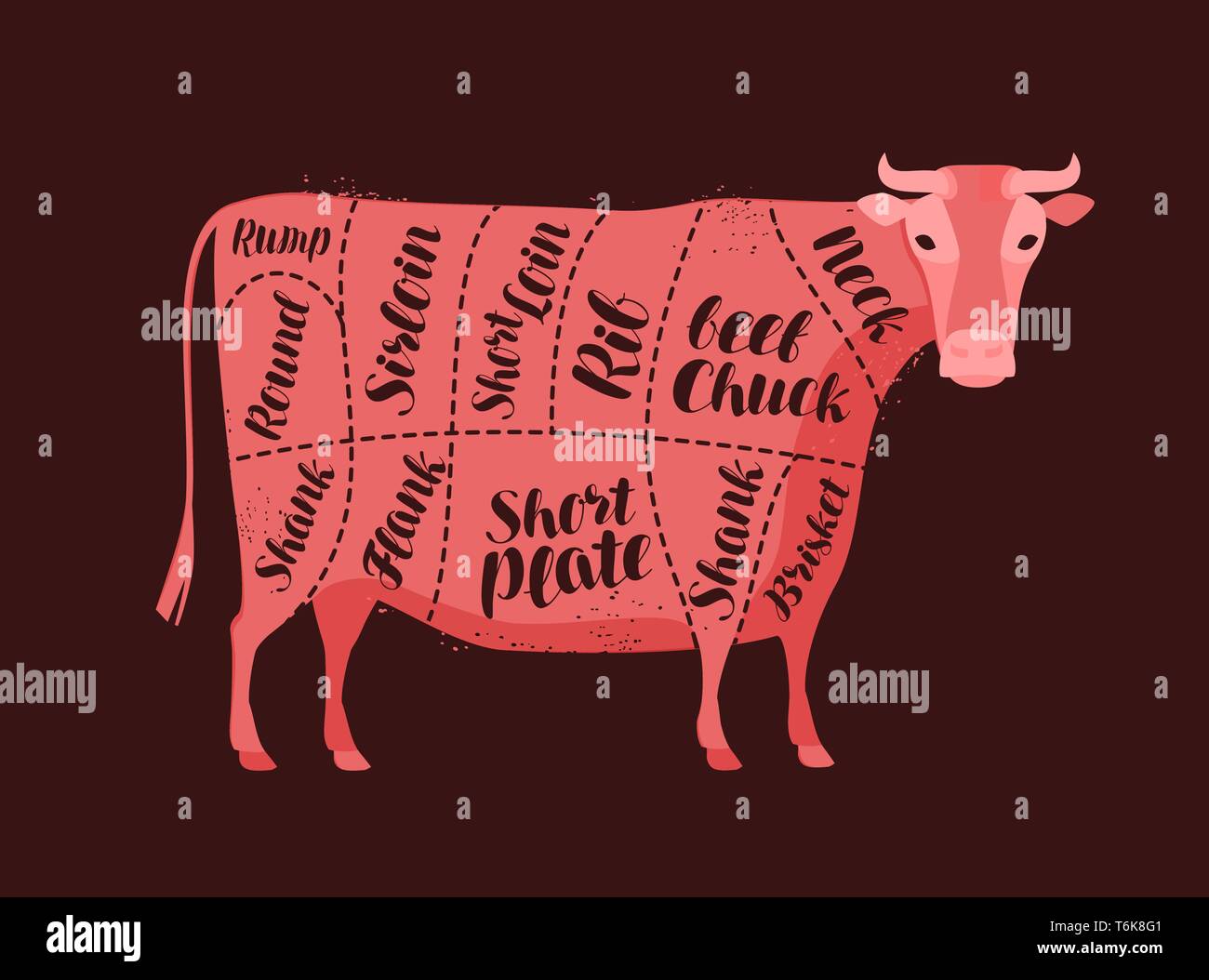 Diagrama de vaca para el carnicero. Butcher Shop, carne de vacuno, carne ilustración vectorial Ilustración del Vector