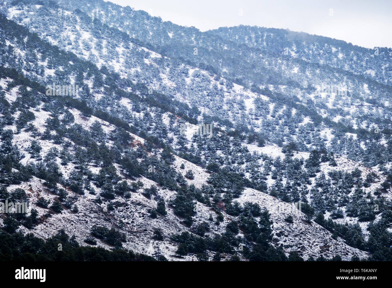 Colinas de Arkansas; en primavera tormenta de nieve; cerca de la salida, Colorado, EE.UU. Foto de stock