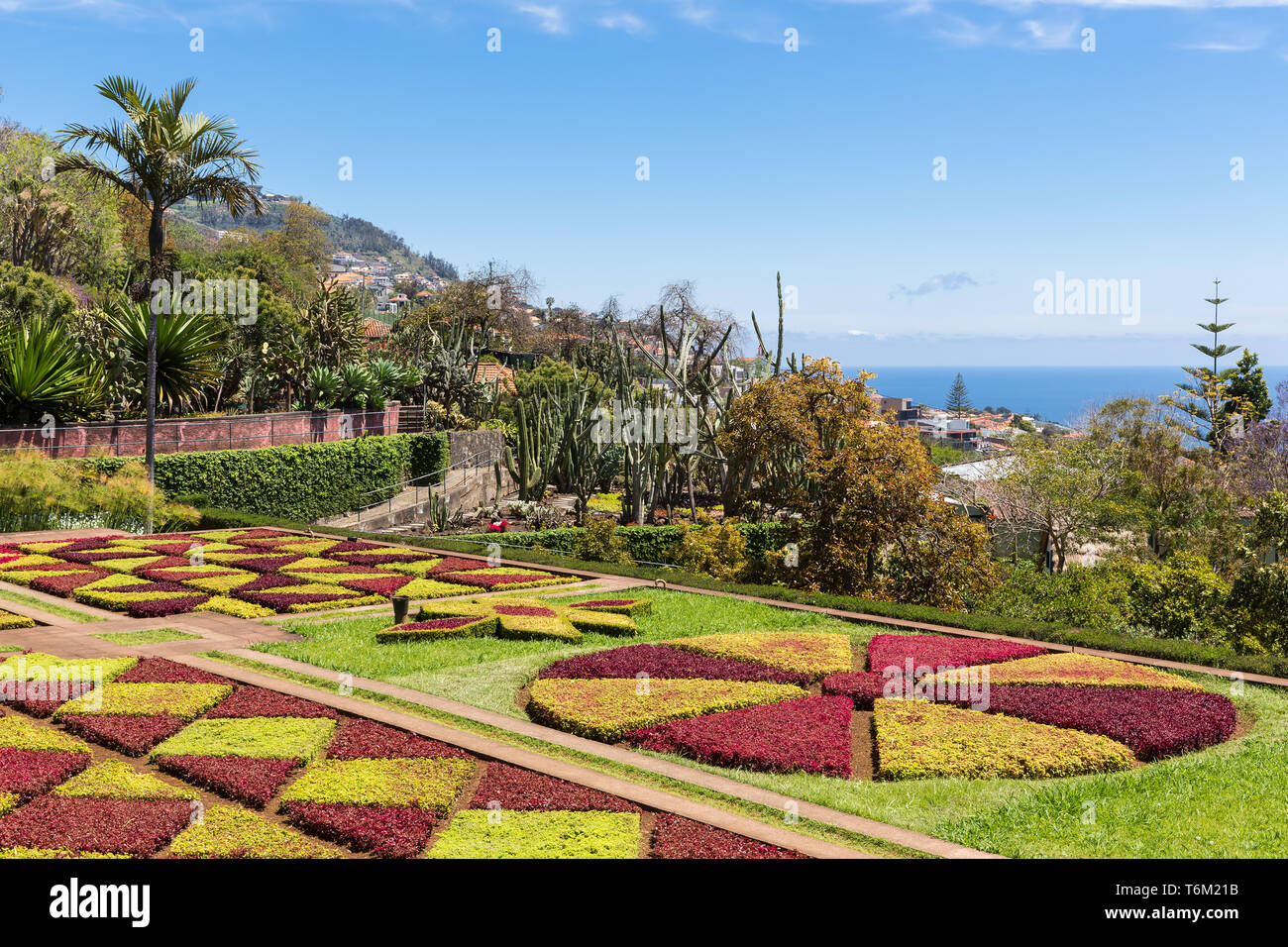 Jardín botánico de Funchal en la isla portuguesa de Madeira Foto de stock