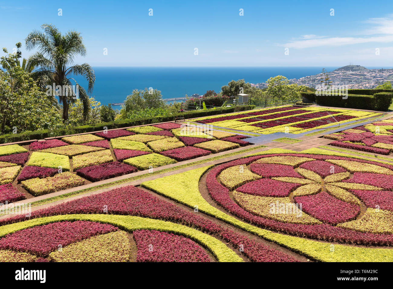 Jardín botánico de Funchal en la isla de Madeira, Portugal Foto de stock