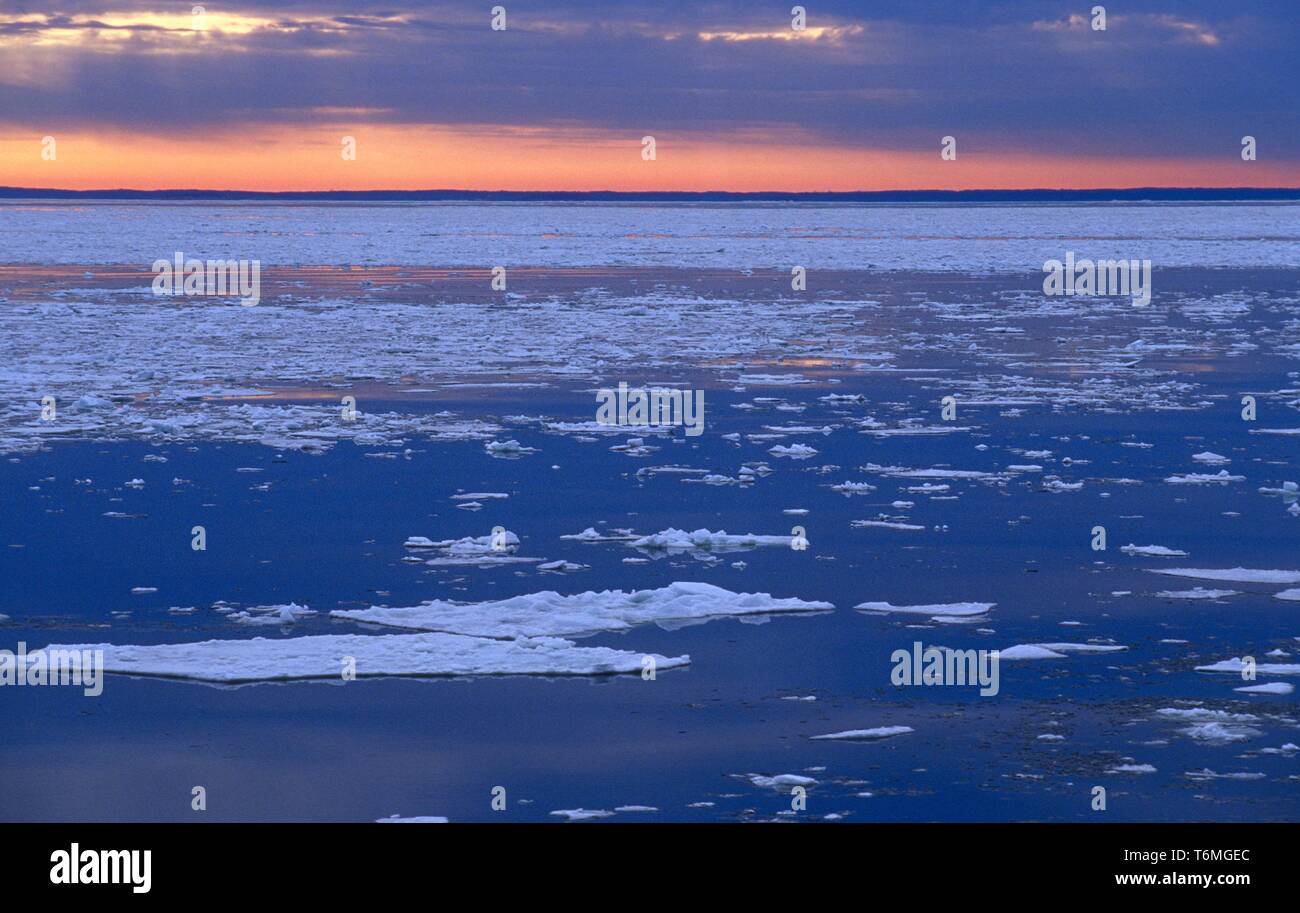 Bloques de hielo en el mar Foto de stock