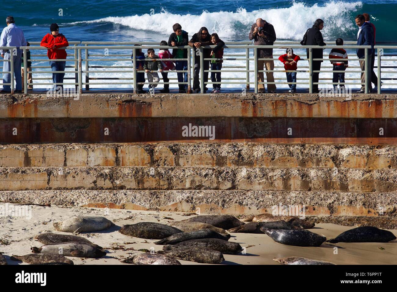 Juntas en la playa con los espectadores, San Diego, California, EE.UU. Foto de stock