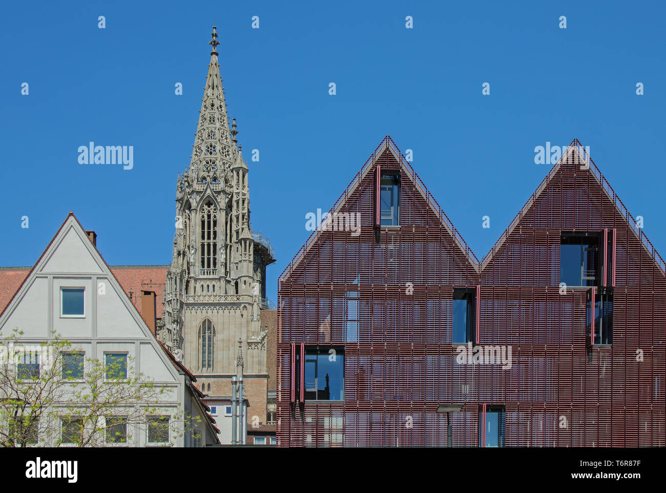 Catedral de Ulm Foto de stock