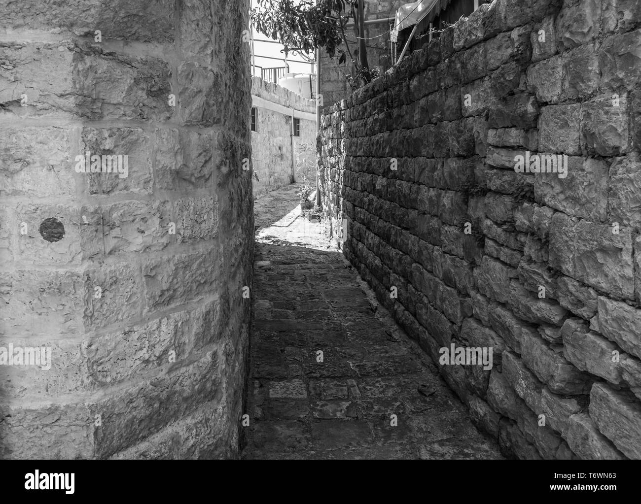 Esta es una captura de los