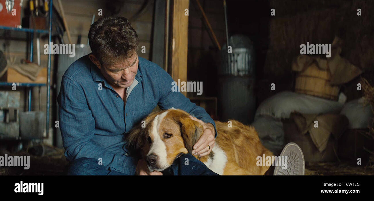 Ee.Uu.. Dennis Quaid en una de las escenas de la nueva película de  ©Universal Pictures : Un perro's Journey (2019). Parcela: un perro busca el  sentido de su propia existencia a través