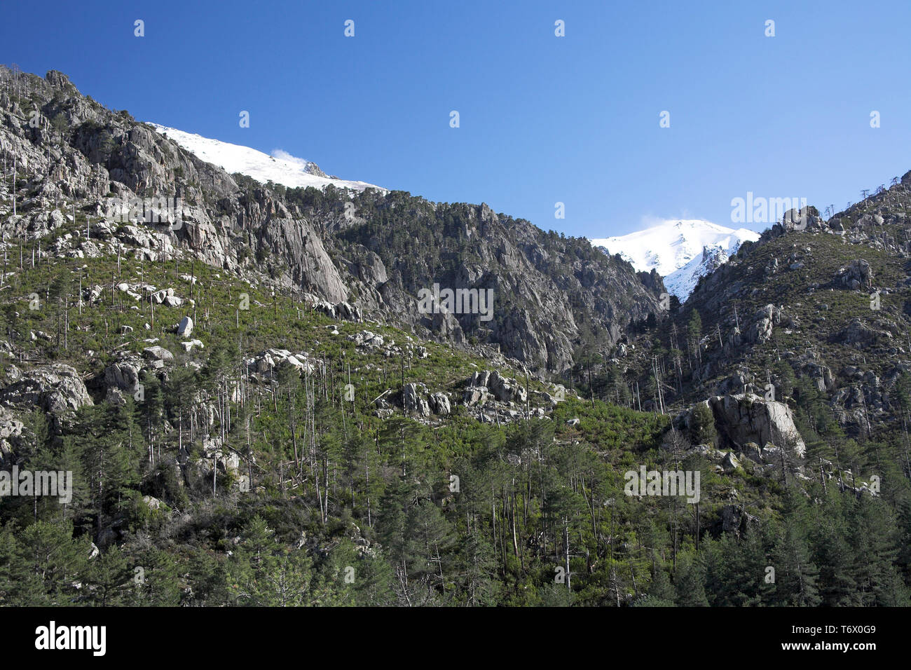 Las crestas de las montañas en el valle del Restonica Córcega Francia Foto de stock