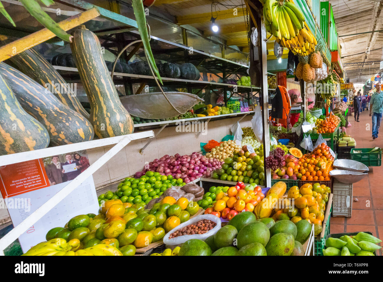 Las hortalizas y frutas tropicales en el mercado minorista de Medellin, Colombia Foto de stock
