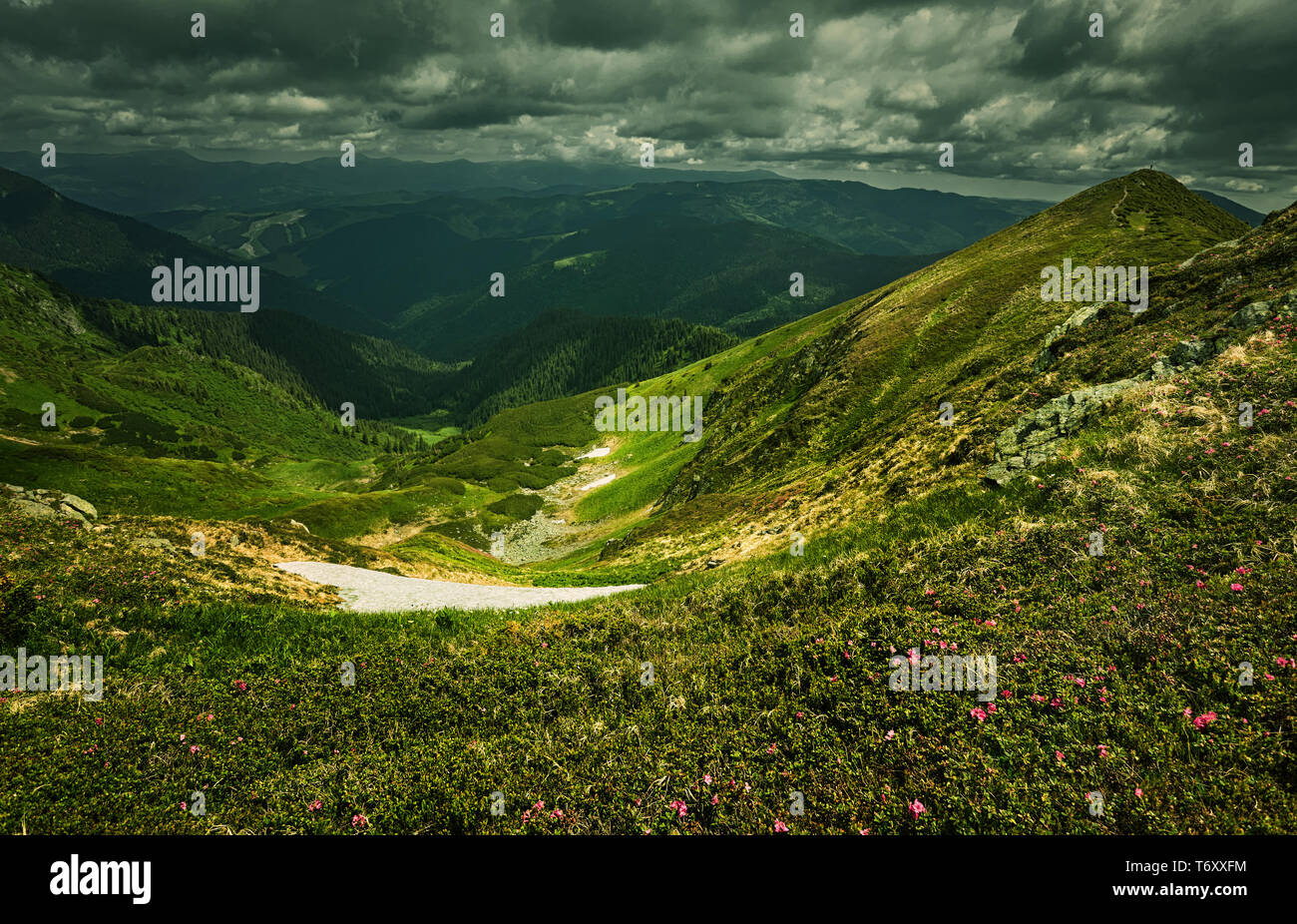 Hermosa vista del tranquilo paisaje alpino con verdes prados, árboles, oscuras nubes bajas en las montañas al fondo, en un día soleado de verano. Yo Foto de stock