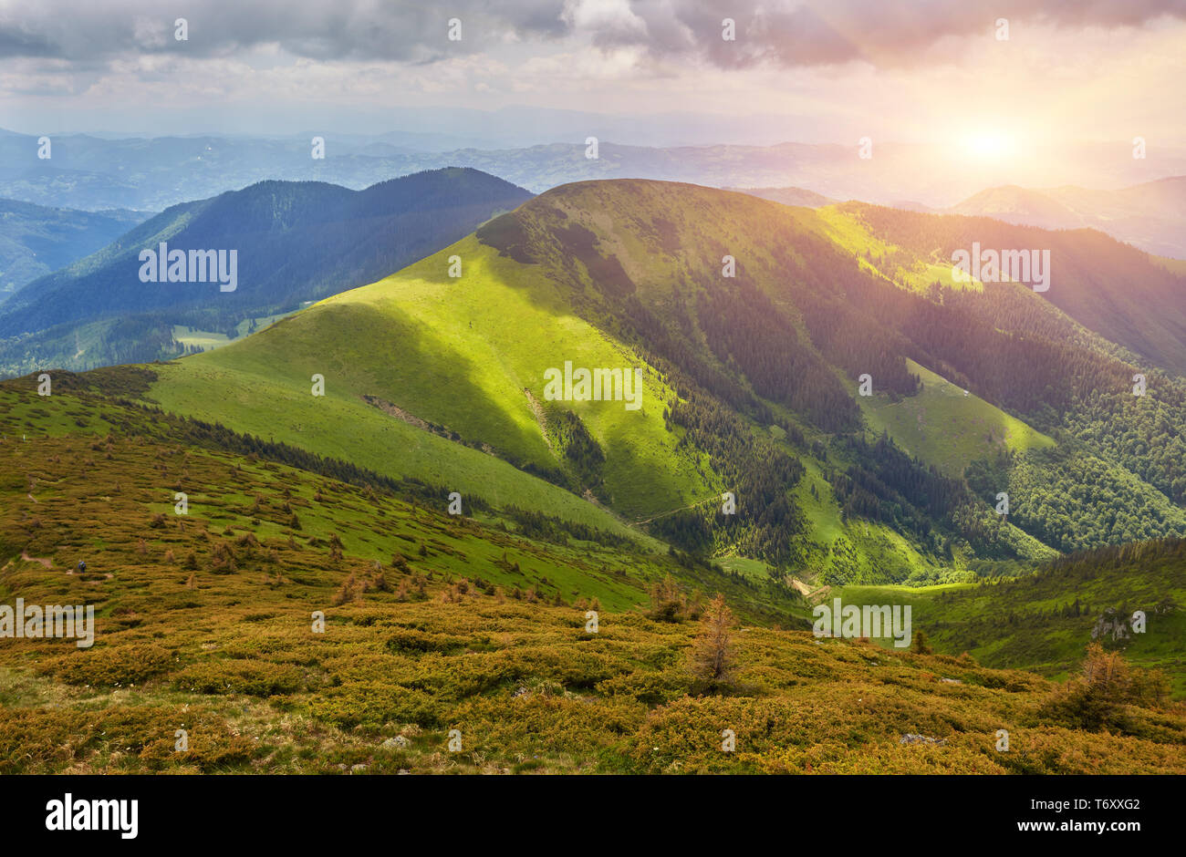 Hermosa vista del tranquilo paisaje alpino con verdes prados, árboles, oscuras nubes bajas en las montañas al fondo, en un día soleado de verano. Yo Foto de stock