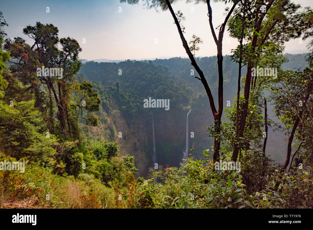 Tad Fane Cascada, Boloven, Laos, Sudeste de Asia Foto de stock