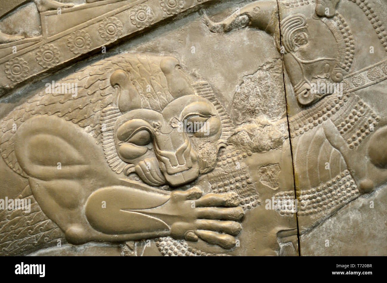Museo Británico, Bloomsbury, Londres, Inglaterra, Reino Unido. Esculturas del Palacio de Darío (518-319 A.C.) en Persépolis, Irán. Yeso (1892) mostrando de Foto de stock