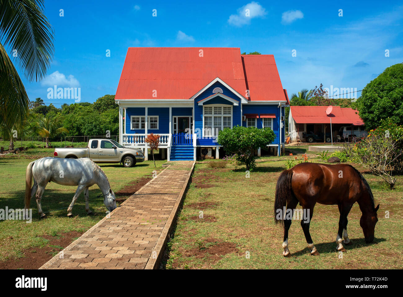 Bonitas casas y caballos en Corn Island, Mar Caribe, Nicaragua, América  Central, América Fotografía de stock - Alamy