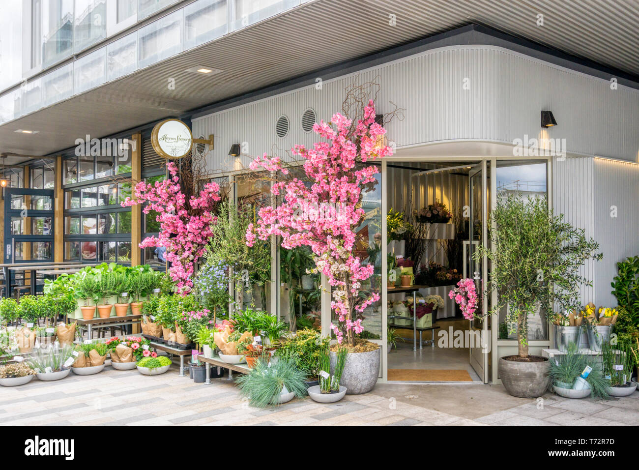 Las plantas y las flores fuera del Moyses Stevens flower shop y flor la