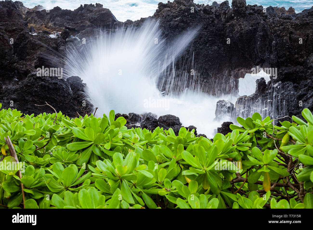 Olas del mar a través de arco en la roca de la lava, Wai'anapapanapa State Park, Maui, Hawaii, EE.UU. Foto de stock