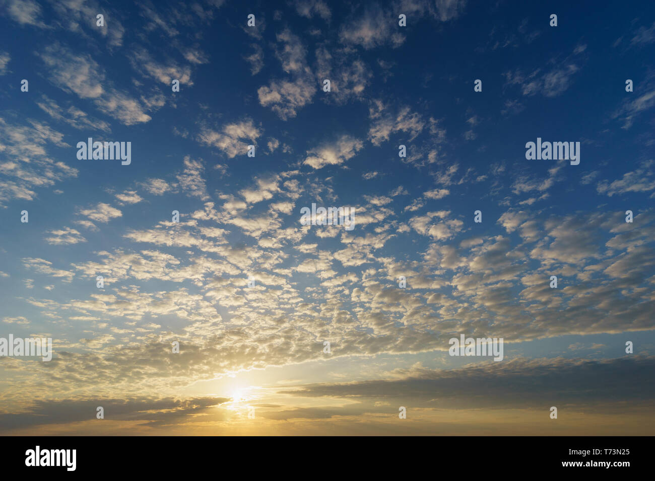 Sol naciente en un cielo azul con nubes cirrocúmulos, natural de fondo Foto de stock