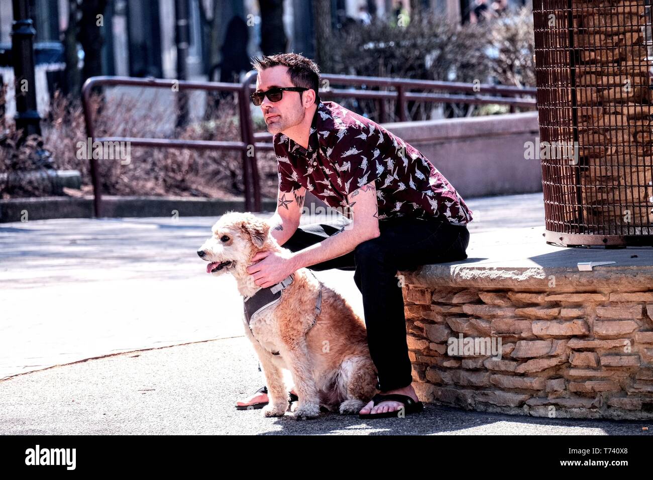 Perro y hombre pegado en las calles de Cleveland Fotografía de stock - Alamy