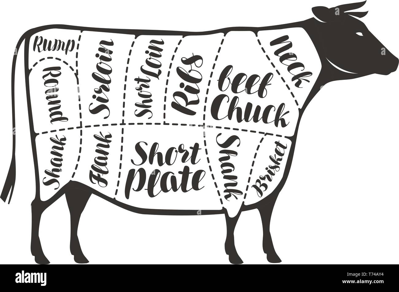 Los cortes de carne de vacuno, vaca o buey. Carne de carnicería, ilustración vectorial Ilustración del Vector
