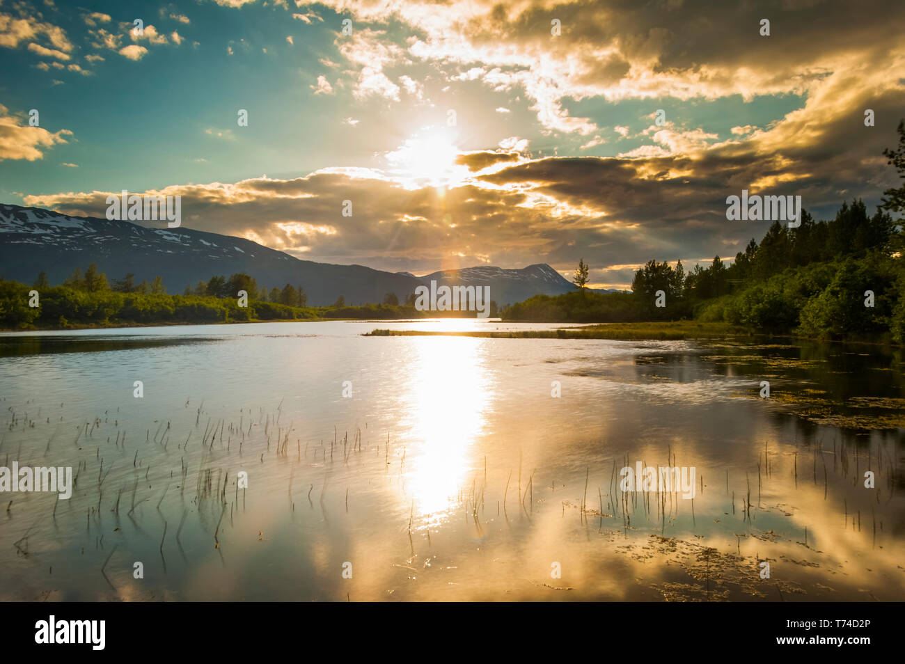 Las tranquilas aguas de un lago sin nombre en el valle de Portage en una soleada tarde de verano, cuando el sol se pone en el centro-sur de Alaska Foto de stock