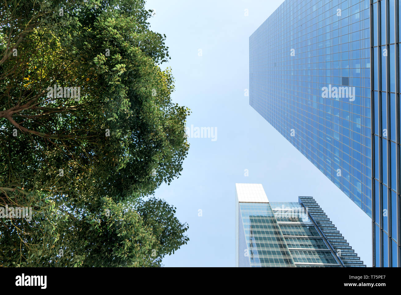 El paisaje en el centro de la ciudad, fondo comercial moderna. Un día soleado. Foto de stock