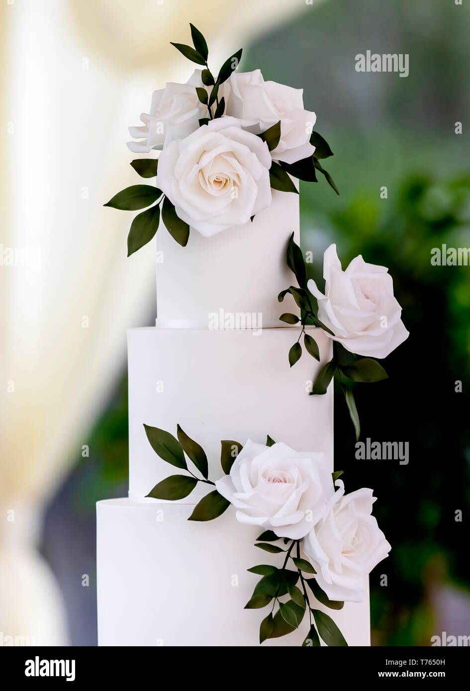 Cerca de pastel de boda elegante y minimalista decorado con rosas blancas sobre una tabla en una carpa tradicional de verano. Foto de stock