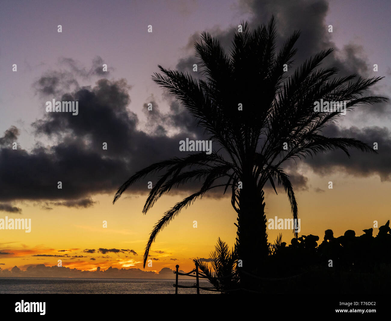 Silueta de la palmera contra colorido atardecer cielo en la isla canaria de Tenerife. Foto de stock