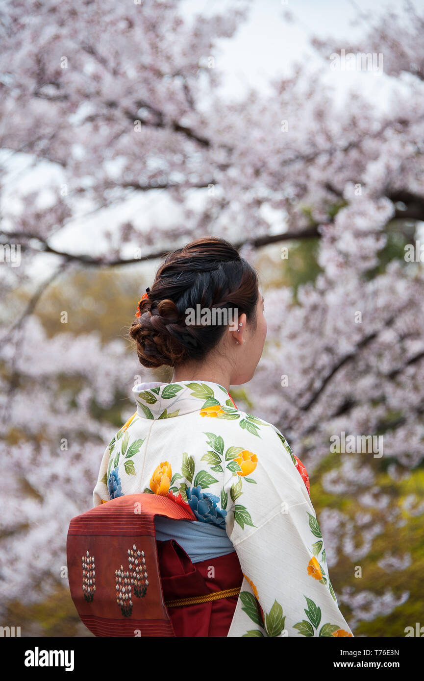 Vista trasera retrato de jovencita japonesa en el colorido Kimono mirando los cerezos en flor. Foto de stock