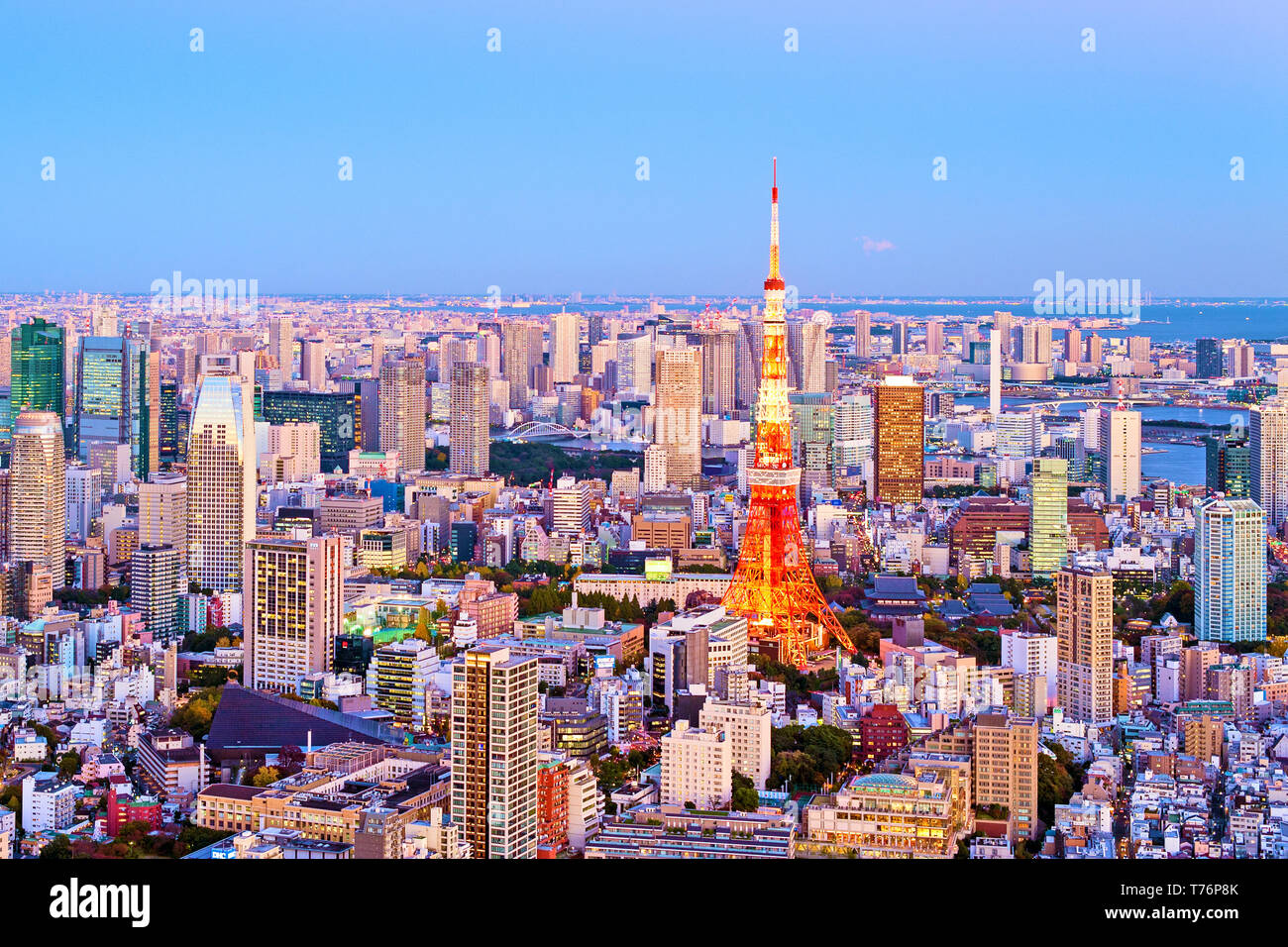 Vista de la ciudad de Tokio La Torre de Tokio Skyline atardecer Foto de stock