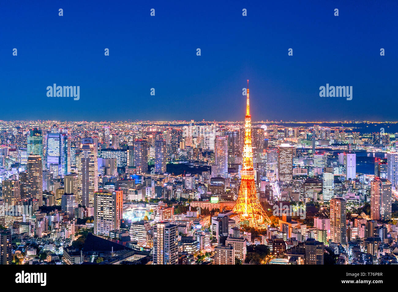Vista de la Torre de Tokyo de noche las luces del horizonte de Tokio Foto de stock