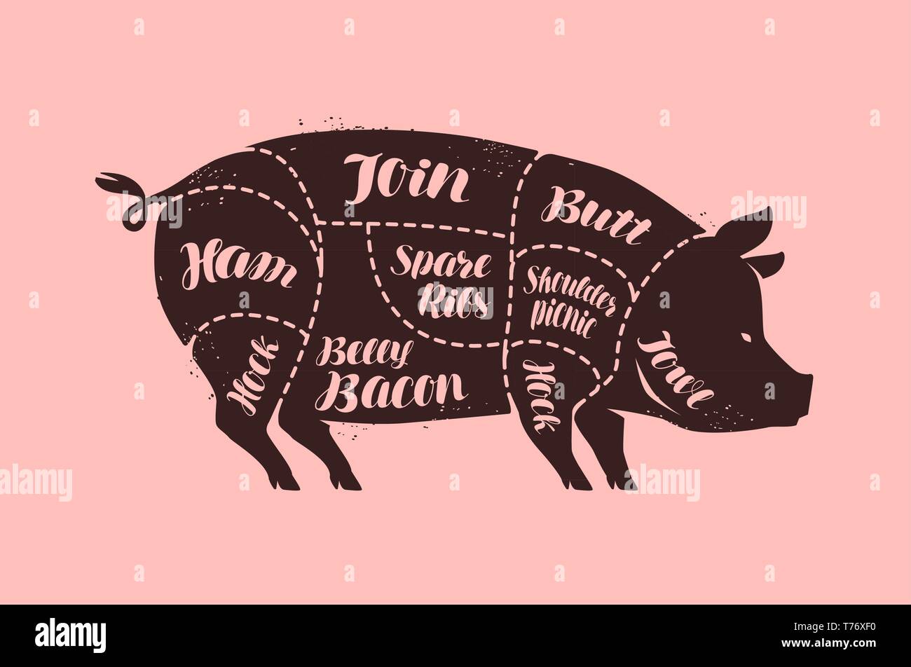 Los cortes de carne de cerdo. Butcher Shop, cerdo ilustración vectorial Ilustración del Vector