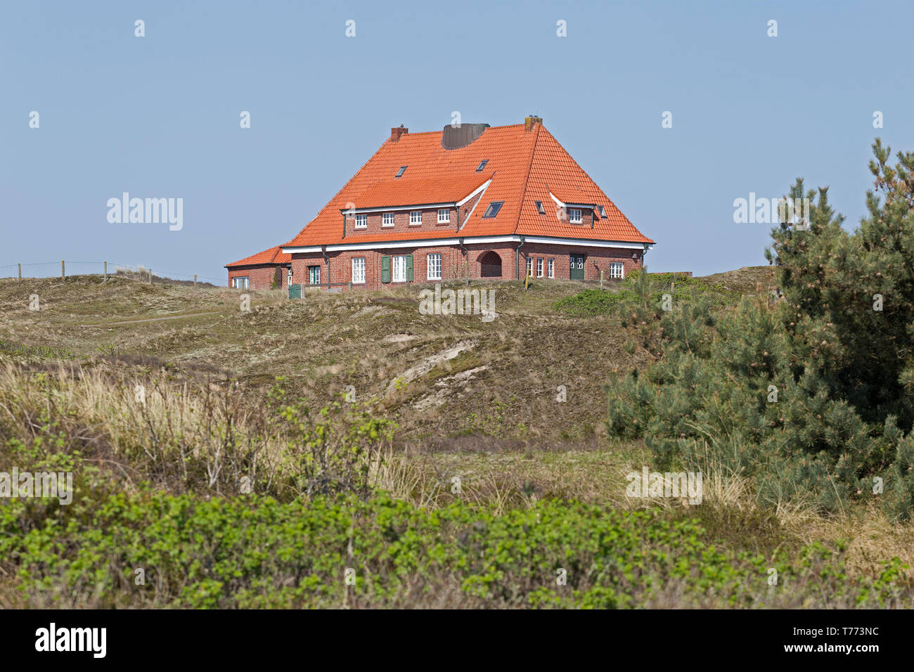 Casa en las dunas, Spiekeroog Isla, Frisia Oriental, Baja Sajonia, Alemania Foto de stock