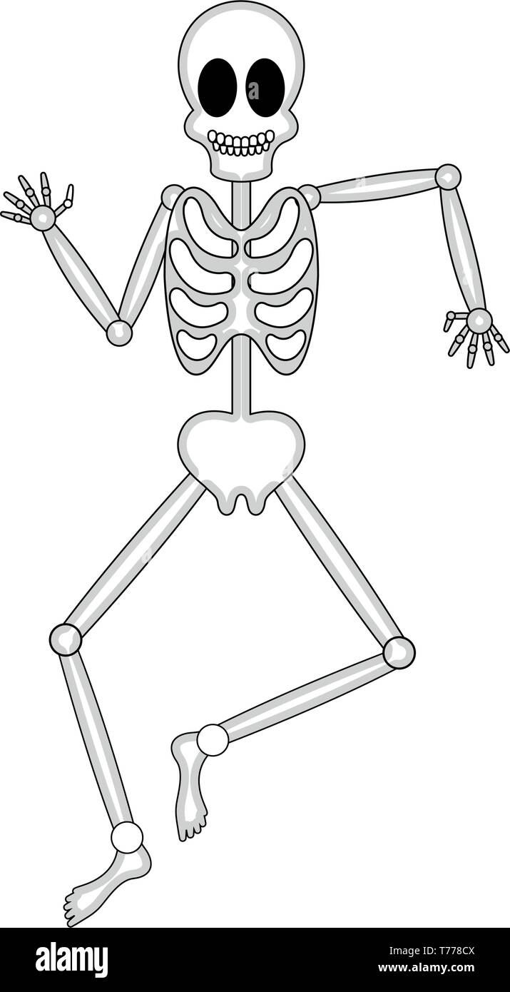 Esqueleto Humano feliz aislado de imágenes de dibujos animados Imagen  Vector de stock - Alamy
