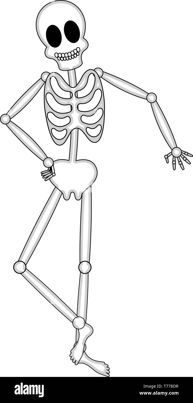 Esqueleto Humano feliz aislado de imágenes de dibujos animados Imagen  Vector de stock  Alamy