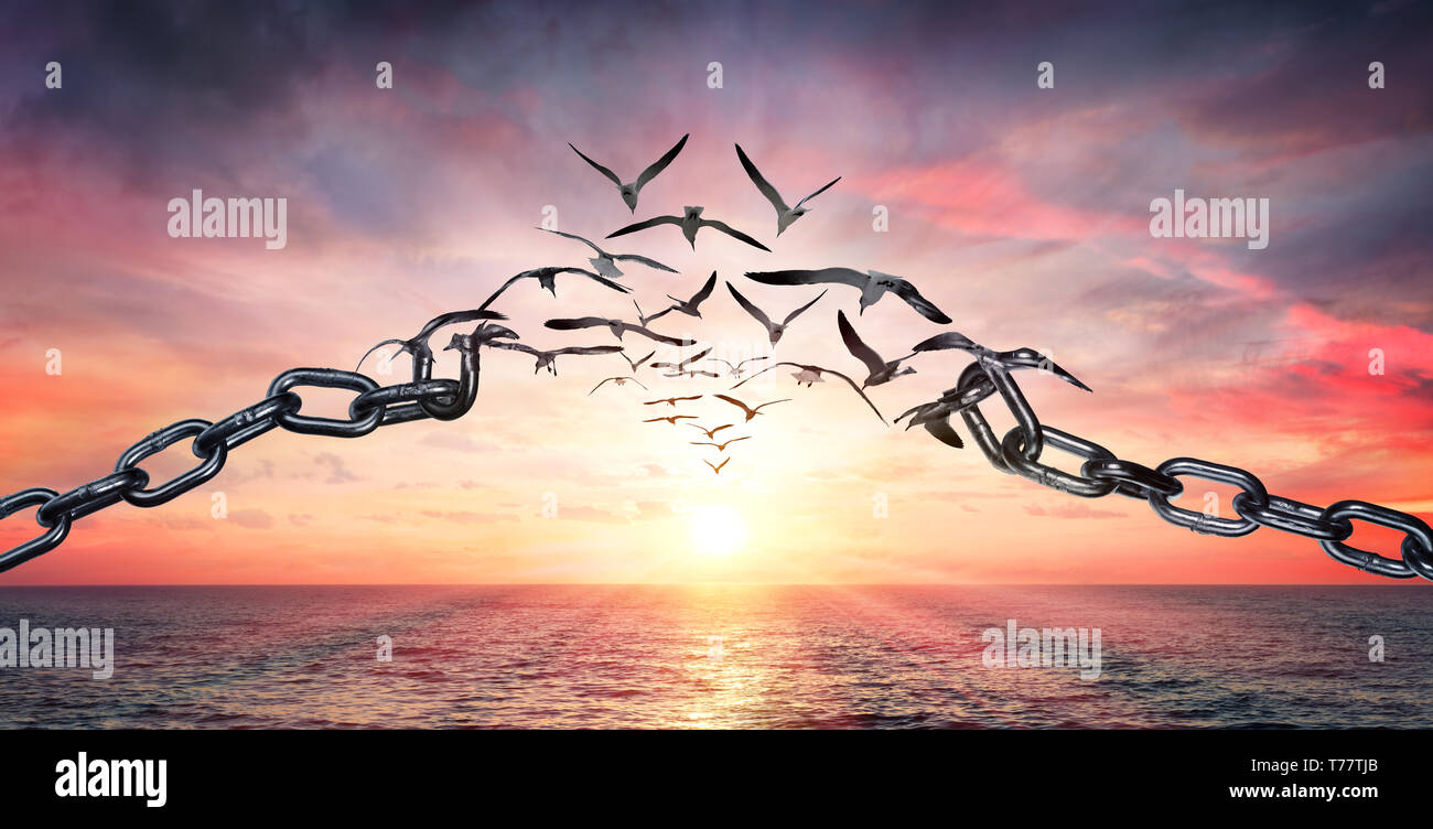 En las alas de la libertad - aves volando y Cadenas rotas - Concepto de carga Foto de stock