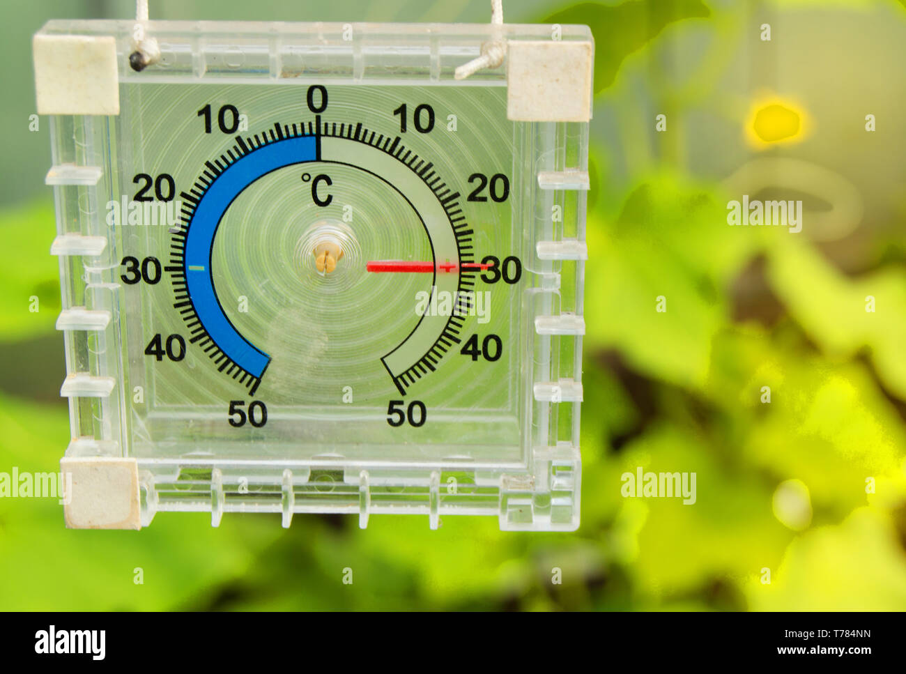 Termómetro para medir la temperatura del aire del invernadero, la luz solar  y los rayos Fotografía de stock - Alamy